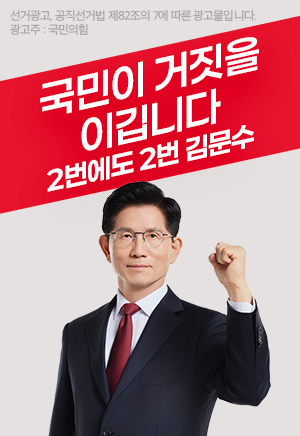 기호2번 김문수